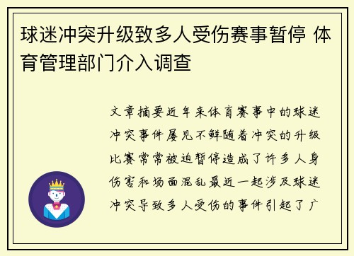 球迷冲突升级致多人受伤赛事暂停 体育管理部门介入调查